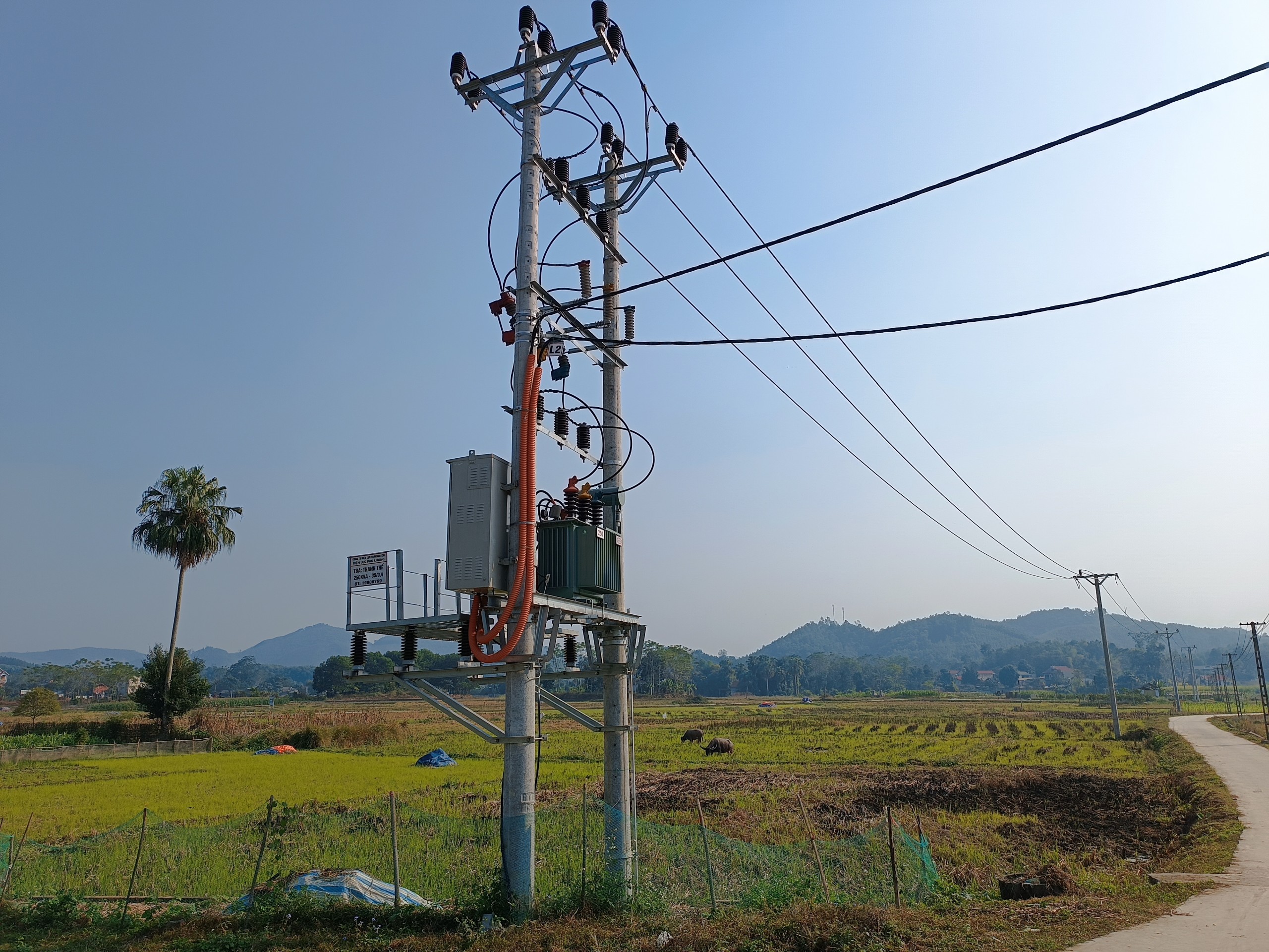 Điện lực Phú Lương đầu tư cải tạo, chống quá tải lưới điện